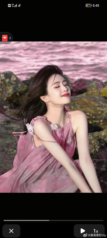 大地中文资源13首页界面